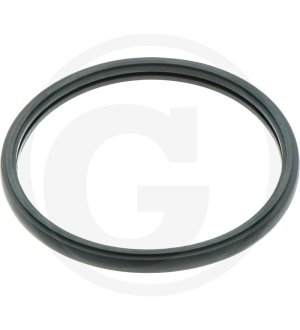 Uszczelka termostatu 8981145870