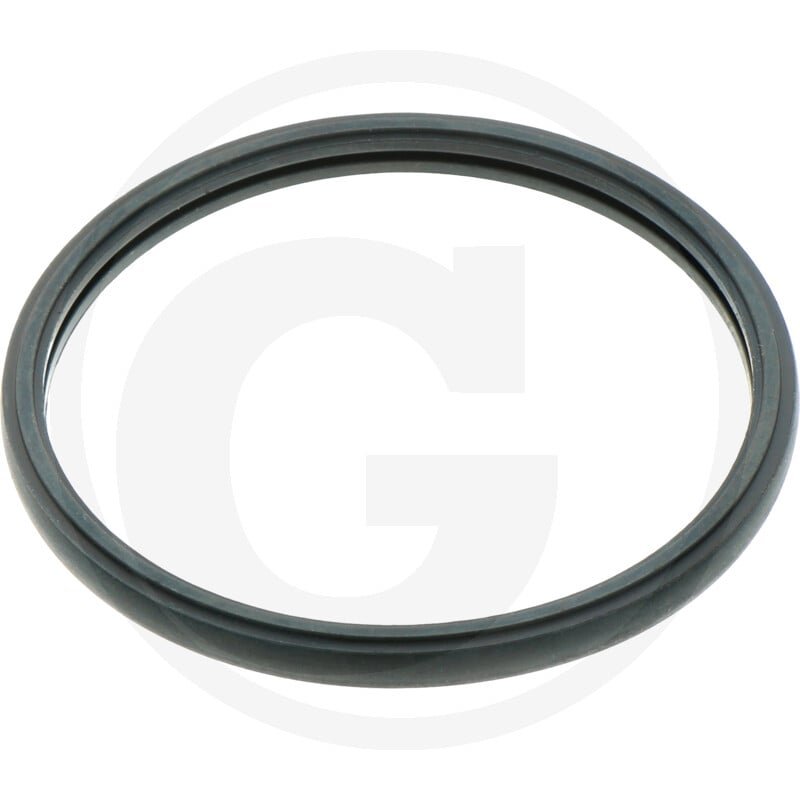 Uszczelka termostatu 8981145870