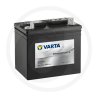 Powersports Gardening 12 V 340 A 714446