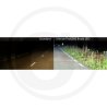 Ultinon Pro6000 H7 LED Boost 11972U60BX2