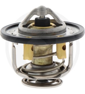 Termostat (B) z zaworem 8982959210, 8976023931