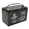 AGM Batterie 12V 100AH