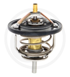 Termostat 8973007903