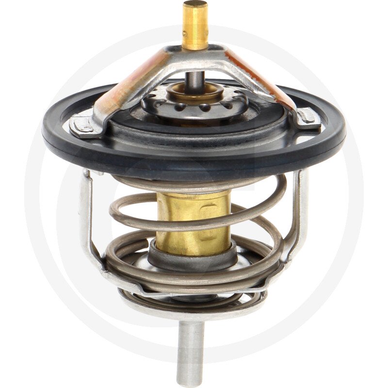 Termostat 8973007903