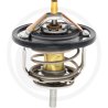 Termostat 8973007903
