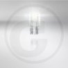 VPE50 W21/5W 12V Faltschachtel