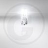 VPE50 W5W 24V Faltschachtel