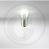 VPE50 P21W 12V Faltschachtel