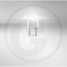 VPE50 W21W 12V Faltschachtel