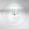 VPE50 R10W 12V Faltschachtel