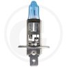 Żarówka halogenowa H1 00523630