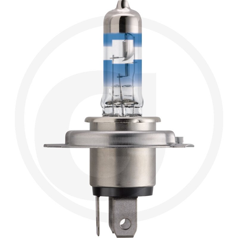 Żarówka halogenowa H4 12342RGTB1