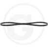 Pasek klinowy 02/631260