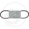 Pasek klinowy 02/631260