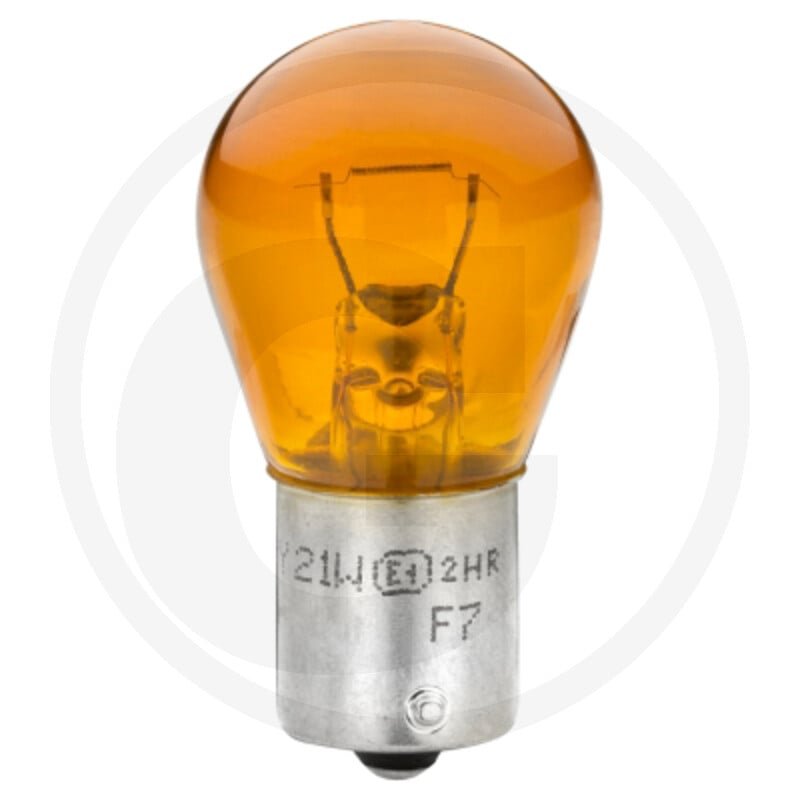 Gluehlampe, Blinkleuchte 8GA 006 841-123