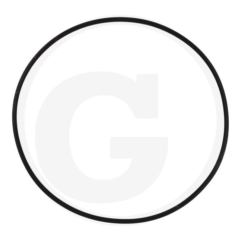 Oring 50290200, 000050290200