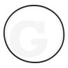 Oring 50290200, 000050290200