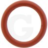 Oring 50154300, 000050154300