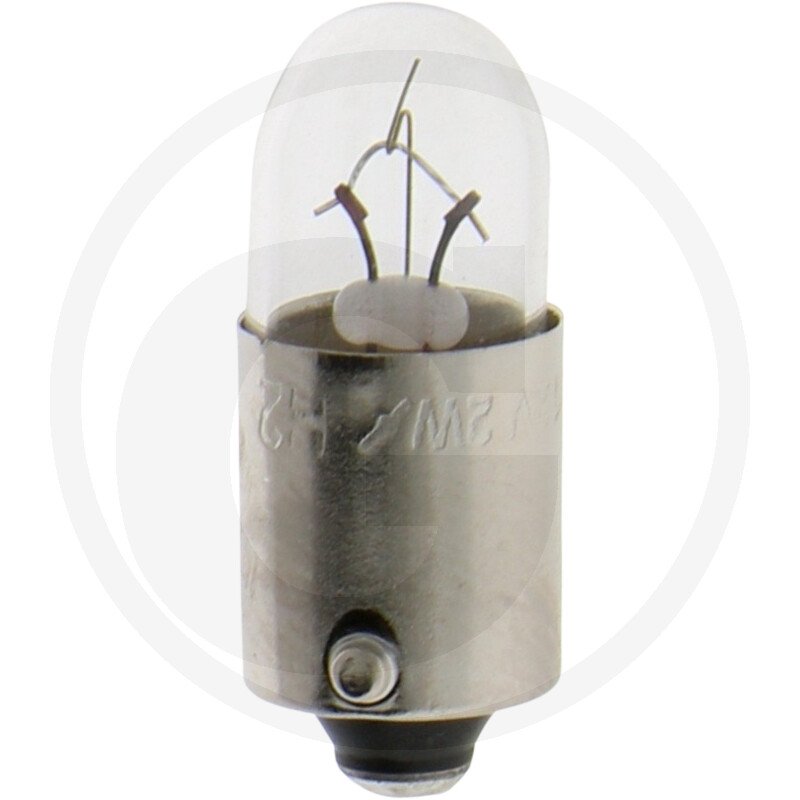 Żarówka kulista T2W 12913GRNCP, 19873022121