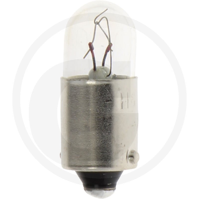 Żarówka kulista T2W 1987302508, 13913GRNCP