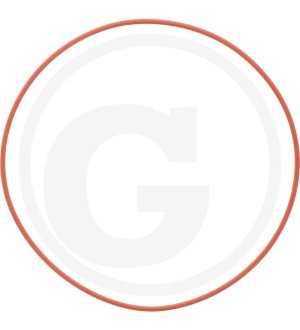 Oring 50224900, 000050224900