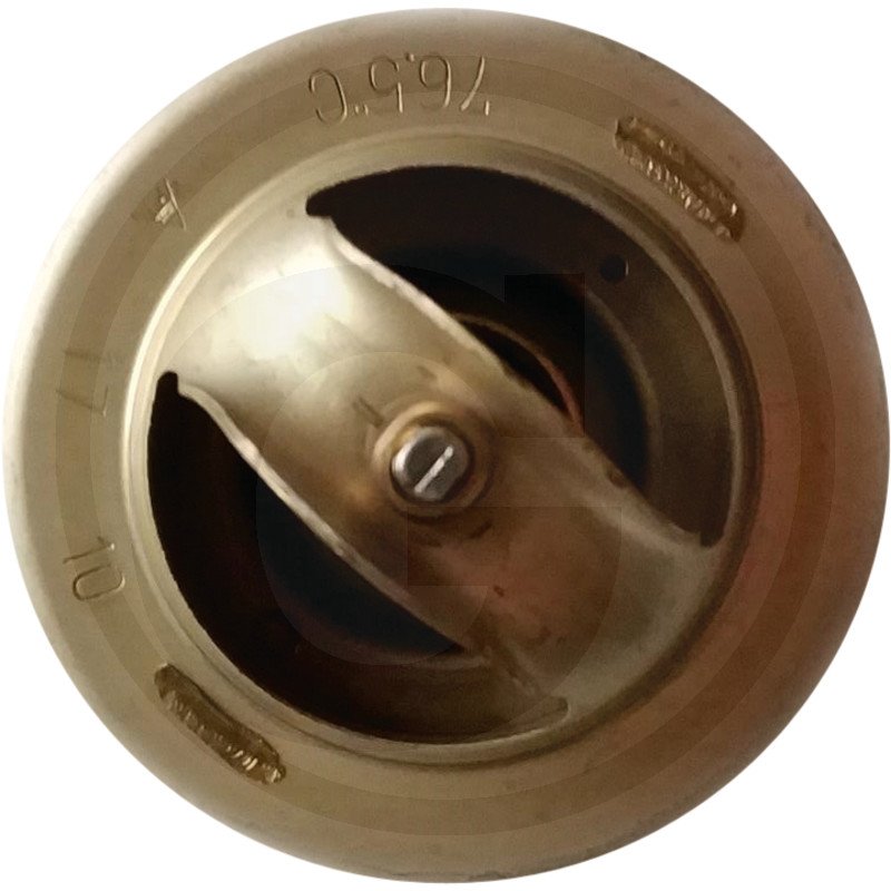 Termostat 3164602200