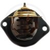 Termostat 32A4602100, 32A4612100