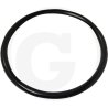 Oring 102103-55520