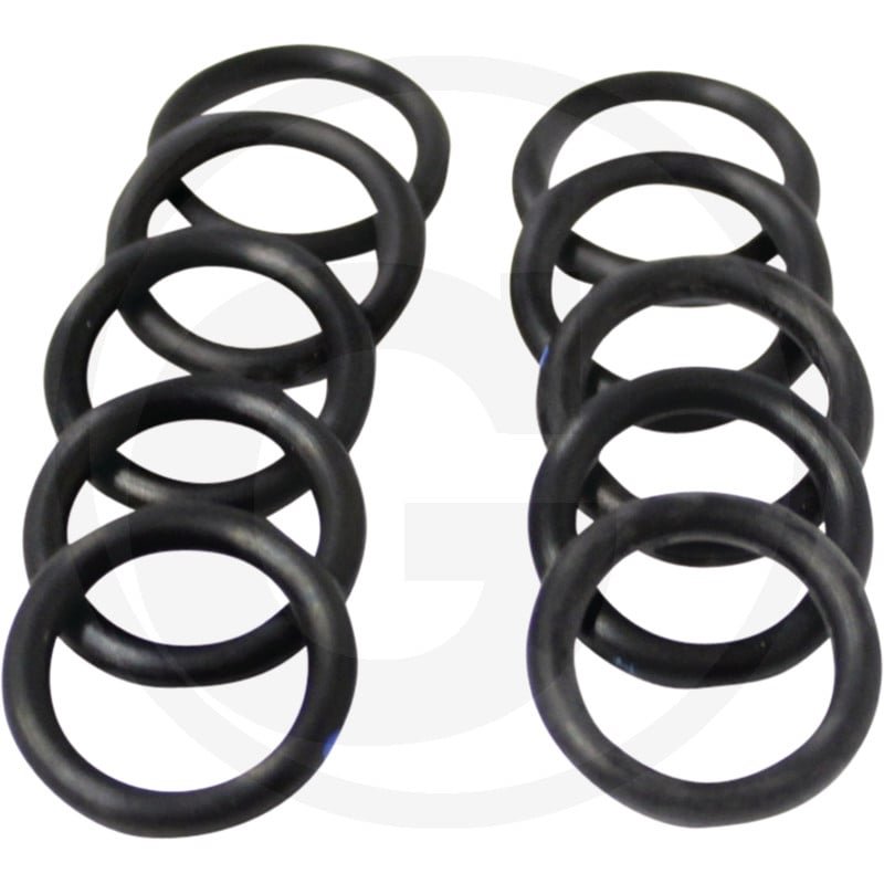 O-ring 24311-000120