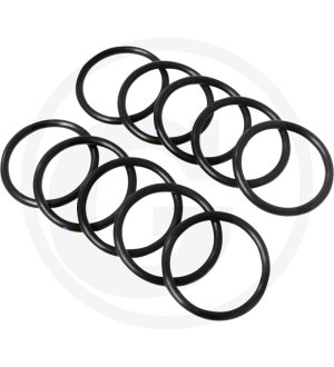 Oring 24311-000320
