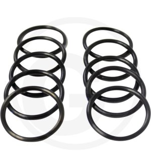 Oring 24321-000300