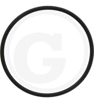O-RING 1A G-65,0 24321-000650