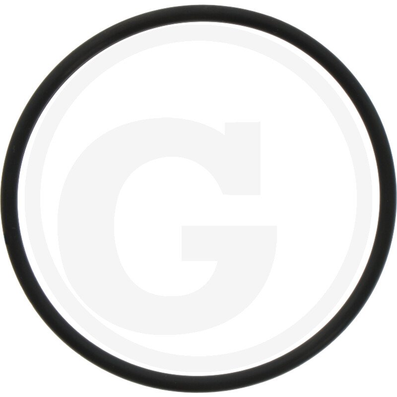 O-RING 1A G-65,0 24321-000650