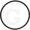 O-RING 1A G-65,0 24321-000650