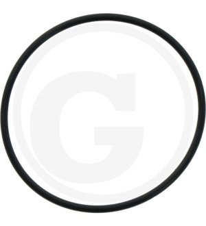 O-RING 1A G-75,0 24321-000750