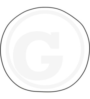 O-ring 9R2495, 9R-2495