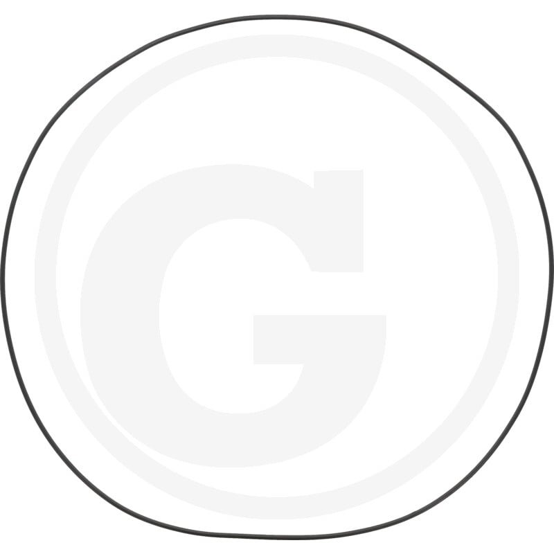 O-ring 9R2495, 9R-2495