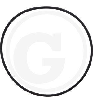 O-ring 07000-15195