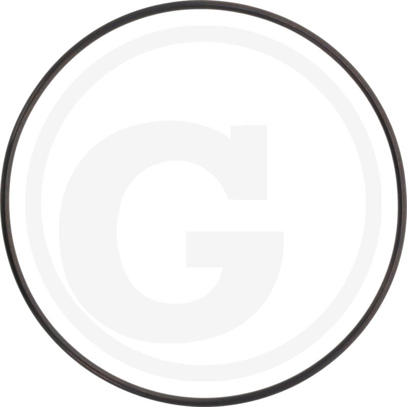 O-ring 07000-12125