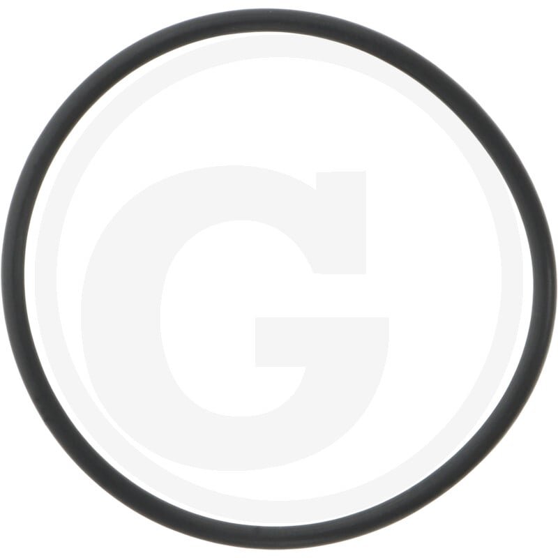 O-ring 100262