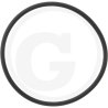 O-ring 100262