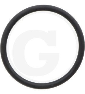 O-ring 100263