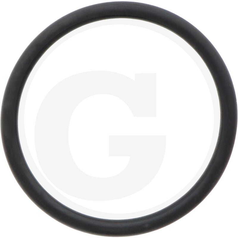 O-ring 100263