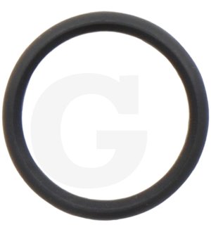 O-ring 100264