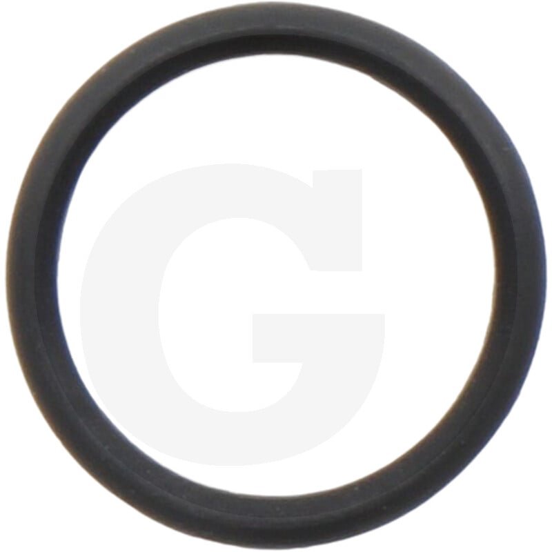 O-ring 100264