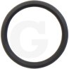 O-ring 100264
