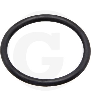 Oring 67160048