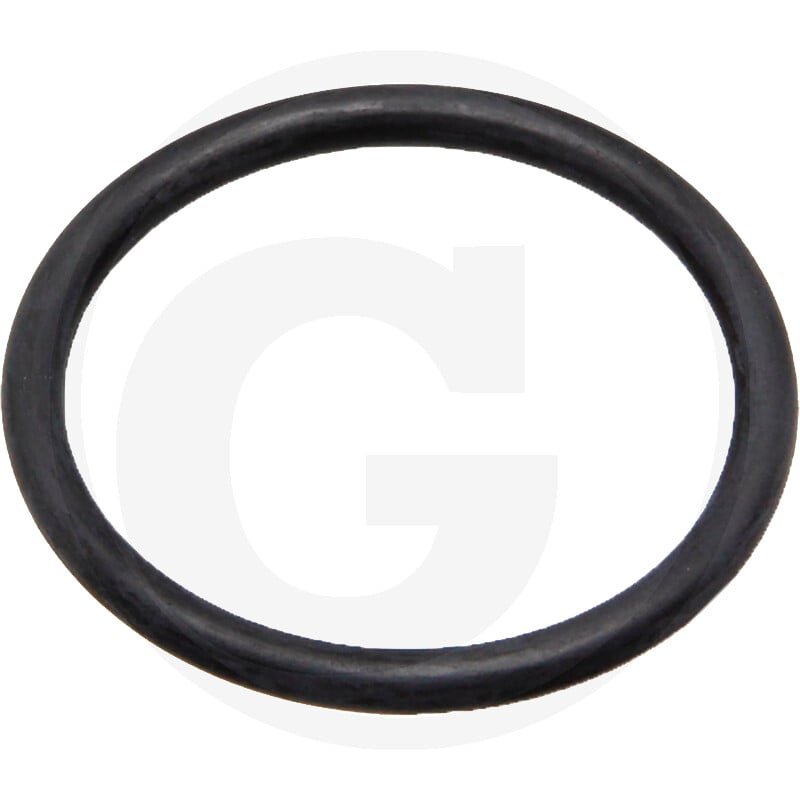 Oring 67160048