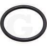 Oring 67160048