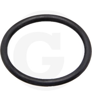 Oring 67160049